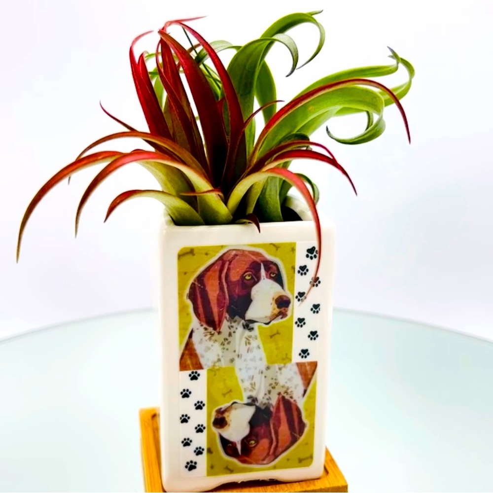 GERMAN SHORTHAIR DOG Art Hand Crafted Home Decor Planter Office Organizers Gifts